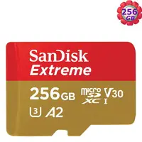 在飛比找樂天市場購物網優惠-SanDisk 256GB 256G microSD【190