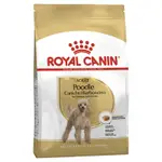 Royal Canin Poodle Adult Dry Dog Food 7.5kg Bag