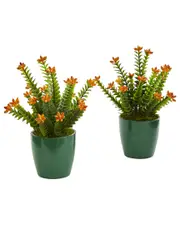 Nearly Natural Set of 2 Sedum Succulent Artificial Plants in Green Planter