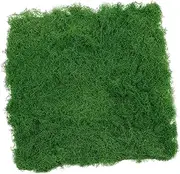 Abaodam Artificial Moss Mat Realistic Fake Moss Turf for Micro Landscape Decor Grass Mat for Outdoor Garden Window Display and Home Decoration