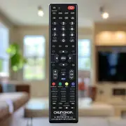Danoz Smart - Universal TV Remote Control For Skyworth LCD LED Smart HDTV Plasma UHD