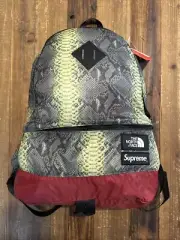 Supreme x The North Face Snakeskin Lightweight Day Pack SS18 Green Brand New