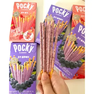 Haitai Pocky 巧克力棒 草莓 藍莓 巧克力棒 41g