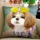 【逆萌二次元】實體照 新款神煩狗♥DOGE柴犬秋田柯基犬二哈士奇4♥35cm抱枕靠枕辦公室汽車套頭午睡沙發絨毛公仔BR