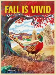 Fall is Vivid - Pheasant - 1960s Vintage Travel Poster - 18x24