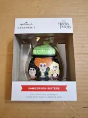 Hallmark 2023 Hocus Pocus Sanderson Sisters Cauldron Red Box Ornament NEB