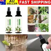 1/2Pcs Brazilian Wood Plant Food 100ml Lucky Bamboo Liquid Fertilizer 100ml