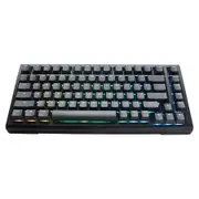 Ducky ProjectD Tinker 75 RGB Hot-Swap Mech Keyboard Cherry Blue