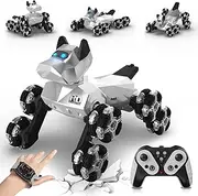 Ruxrcni RC Robot Dog for Kids