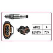 RAE Oxygen Sensor - OX429