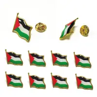 在飛比找蝦皮購物優惠-10 件裝巴勒斯坦國旗胸針翻領別針巴勒斯坦國旗小別針琺瑯金屬