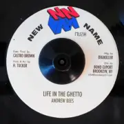 VINYL 7 INCH Andrew Bees - Life In The Ghetto / Version