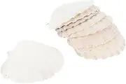 DECORNIJIA 10pcs Food-Grade Natural Shell Plates for Crafting and Decoration for Jewelry Display Serving Food and Home Decor Shell Trays for Versatile Use