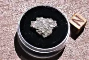 NWA 13445 Chondrite (L4) - 1.5 gram crusted meteorite part slice SARATOV-like !