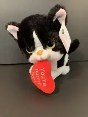 NWT Publix YOU’RE PURR FECT Kitty Cat Plush NEW 8.5" Valentine’s Day