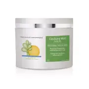Clarifying Mint Mask
