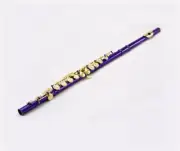 NEW UNBRAND Band Approved C Foot Purple/Gold CLOSE HOLE Flute