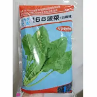 在飛比找蝦皮購物優惠-[小包裝售]菠菜種子（168菠菜白霧種/特力菠菜深綠種）