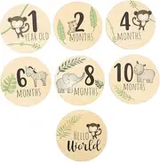 QUMIIRITY 7pcs Round Cards Baby Milestone Wooden Milestone Discs Decorative Milestone Markers