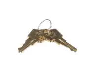 True Key, Hl302 (Set Of 2) Tdd-1 New 3/2/2000 872857 - Genuine OEM Replacement