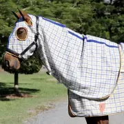Capriole Wool Collar Check Winter Horse Hood Rug- Collarcheck Underrugs