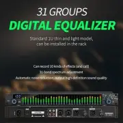 31 Band Graphic Equalizer with Spectrum Analysis for Home and KTV Systems