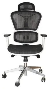 SK Designer Living Replica Ergonomic Japanese Mesh Desk / Office Chair