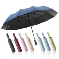 在飛比找momo購物網優惠-【OSIN】2入組 12骨自動開收抗風黑膠雨傘 莫蘭迪色大傘