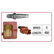 RAE Oxygen Sensor - OX795