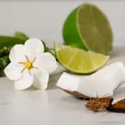Canningvale Finger Lime & Coconut Reed Diffuser