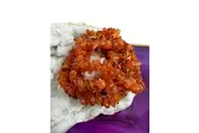 Crystal Wonderland 5x Carnelian Crystal Chip Bracelet Set Natural Gemstone