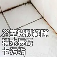 在飛比找Yahoo!奇摩拍賣優惠-【七七市集】美國TV熱銷地板美縫筆 美縫筆 補縫 磁磚美化 