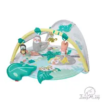 在飛比找蝦皮商城優惠-Skip Hop寶寶五感玩具-熱帶雨林健力架遊戲墊 嬰兒玩具