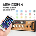 110V大功率迷你小型藍芽HIFI功放機家用無損12V插卡U盤收音空放機 【幸福驛站】