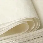 50/100 Sheets FIVEIZERO A4 Mulberry Paper Sheets Natural Fiber Rice Paper,8.3x11.7in Natural Decoupage Tissue Paper For Writing Painting, Decorative Paper, Card Making Paper DIY Craft