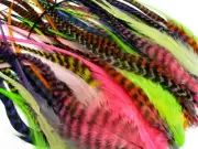 50 Pieces Colorful Thick Long Rooster Hair Extension Feathers Wholesale Whiting