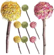 BUGUUYO 9pcs Pet Lollipop Rabbit Chew Sticks Rabbit Chew Toys for Teeth Guinea Pig Biting Playthings Small Animals Chew Toys Hamster Chewing Sticks Pet Biting Playthings Parrots Chew Toys