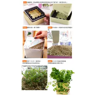 積木盆栽 九層塔 香草盆栽「多送種子1包」iPlant 開心農場 懶人盆栽 瓜果 開花 種子 培養土 花盆