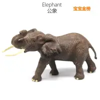 在飛比找蝦皮購物優惠-❤樂樂屋❤仿真野生動物模型亞洲象大象模型泰國動物園玩具塑膠實