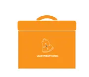 Orange Library Bag