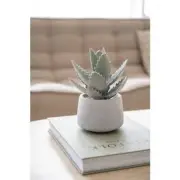 Artificial Plant 7.61" H in Round Cement Pot