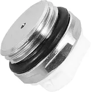 COHEALI Heavy Duty Air Quick Exhaust Valve for Radiators Durable Bleed Air Valve with Screw Easy Installation for Efficient Heating Systems Stylish and Practical Heaters and Boiler