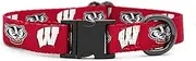 Wisconsin Badgers Collars and Leashes | Officially Licensed | Fits All Pets! (Medium Collar)