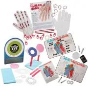 STEM Anatomy Activity Learning Challenge Craft Kit - Makes 36