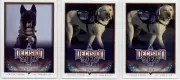 Decision Vault 2020 - Pets - 3 card lot