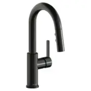 LKAV3032BK Elkay Avado Bar Faucet with Pull-down Spray and Lever Handle