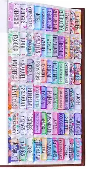 Colorful Floral Bible Tabs Laminated with Matte Film, Cute Bible tabs for Wom...