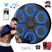 Smart Bluetooth Wall-Mounted Boxing Trainer | Electronic Punching Target