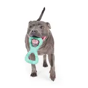 All Day Pastel Rubber Double Tug Dog Toy Assorted M