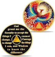 3 Year Sobriety Coin AA Chip, Phoenix Recovery Medallion with Serenity Prayer, Alcoholics Anonymous Token Gift for Men & Women, 3 Year Clean Time NA Chip in Protective Case